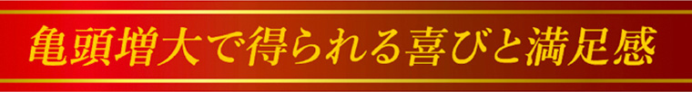 亀頭増大で得られる喜びと満足感