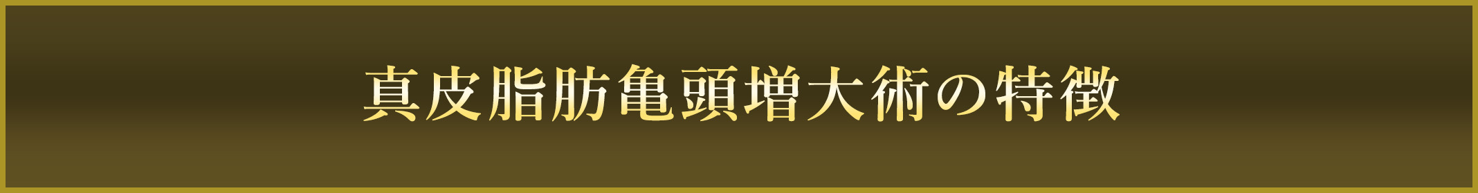 真皮脂肪亀頭増大術の特徴 陰茎増大