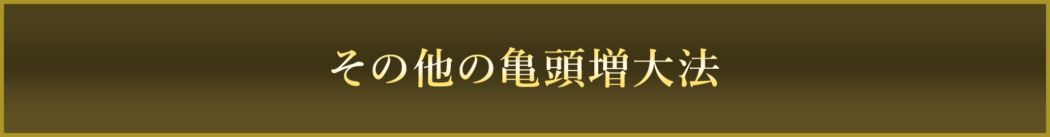 その他の亀頭増大法
