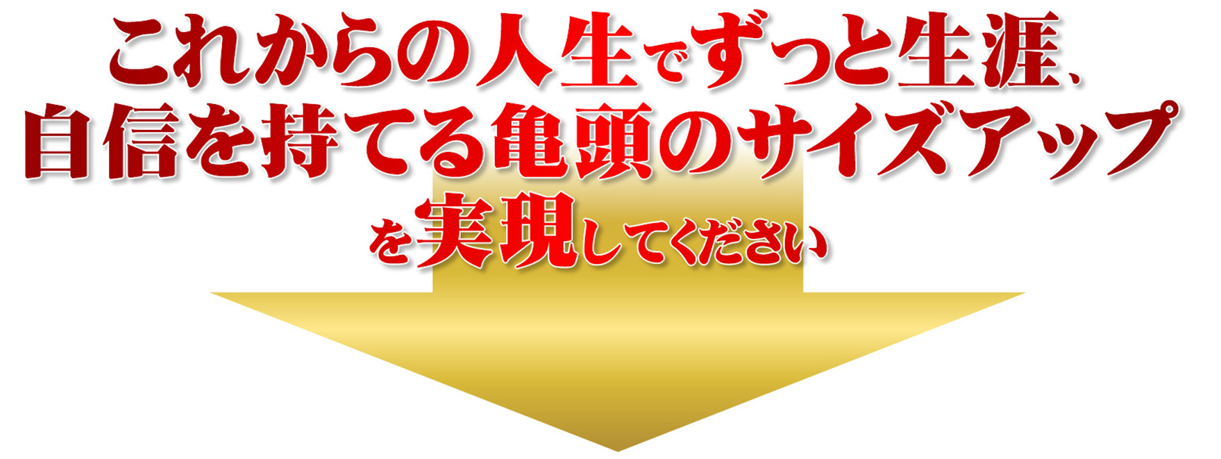これからの人生でずっと生涯、自信を持てる亀頭のサイズアップを実現してください