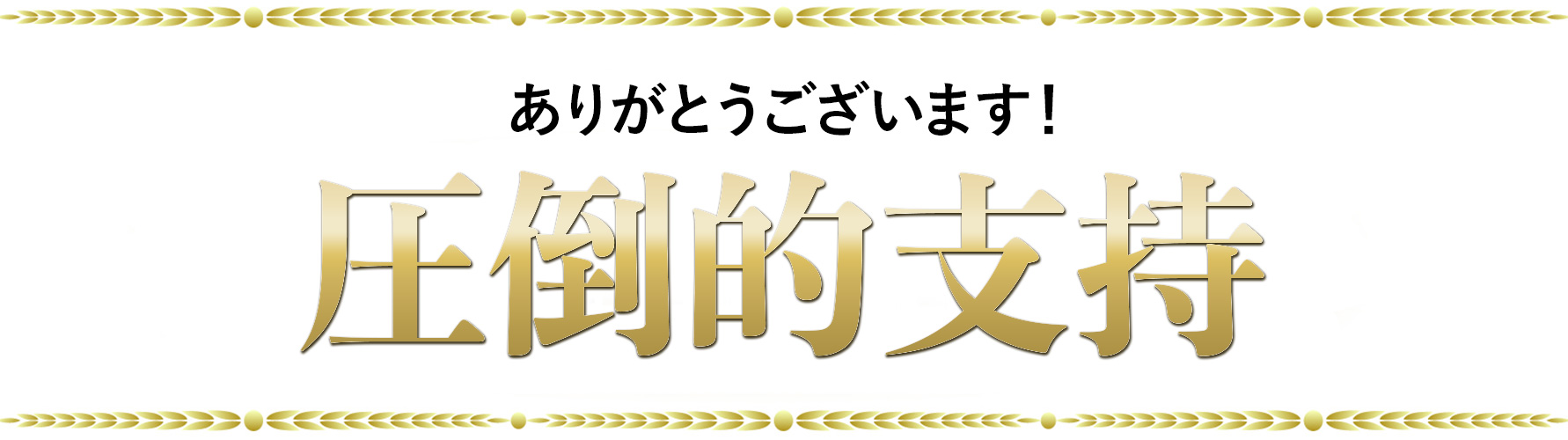 ありがとうございます！圧倒的指示